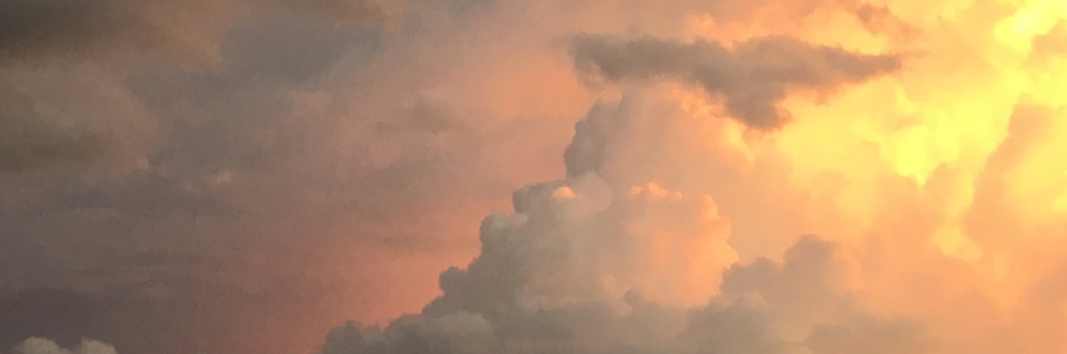 patitaferrer's profile banner image