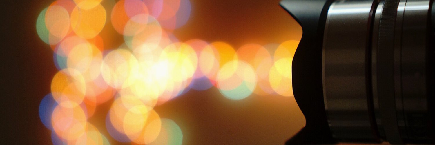 haloarya's profile banner image