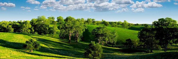 hamaxx1 Profile Banner