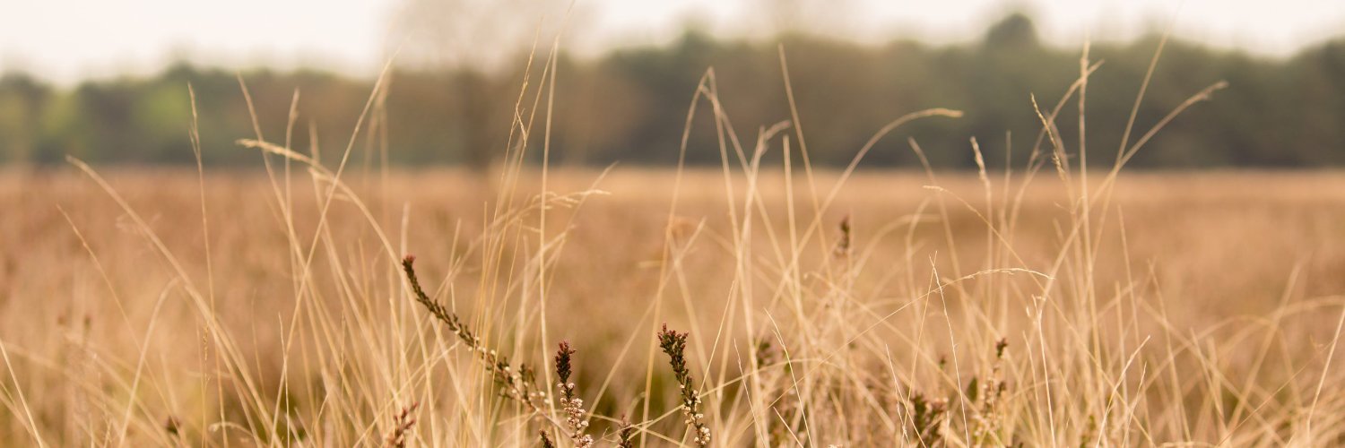 HeatherSimeney's profile banner image
