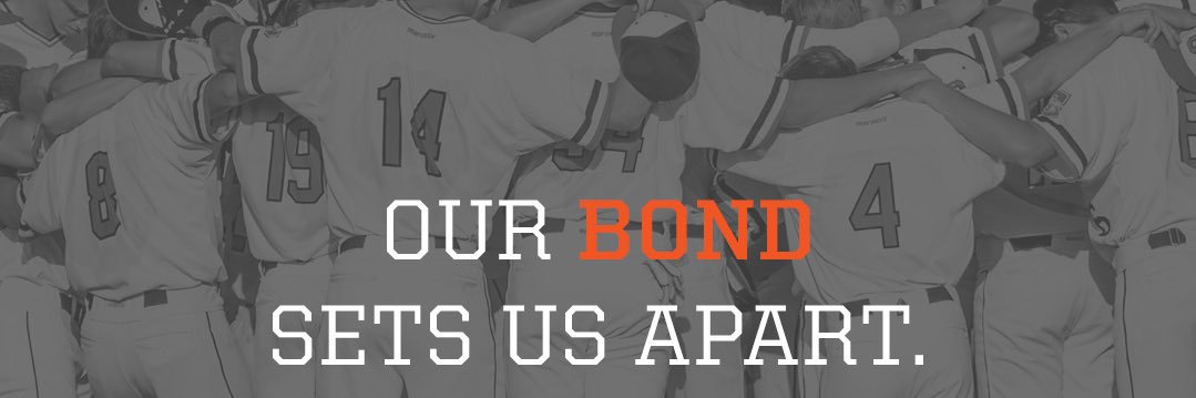 Brad Bass's banner