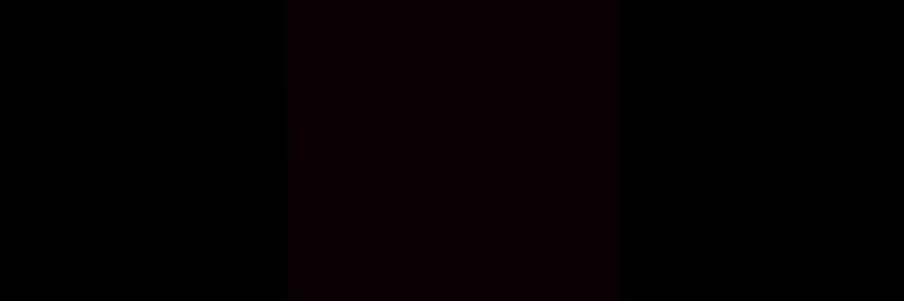 Ivan S banner