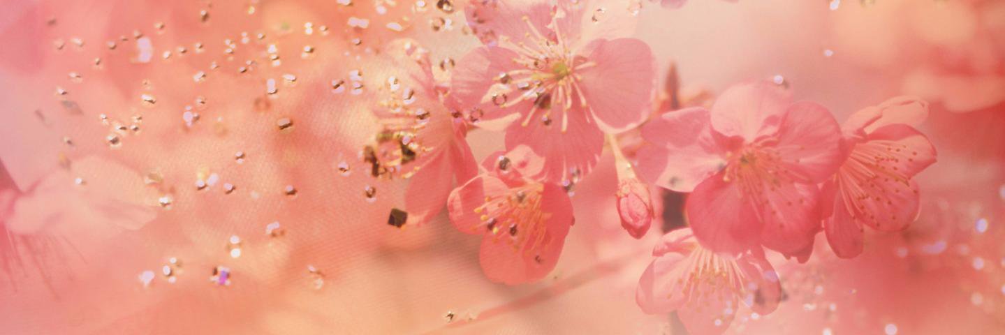 Desirezie's profile banner image