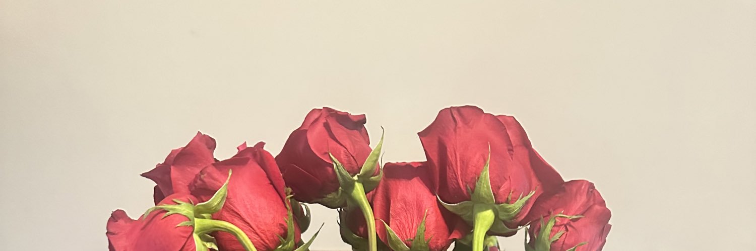 justanotherbria's profile banner image