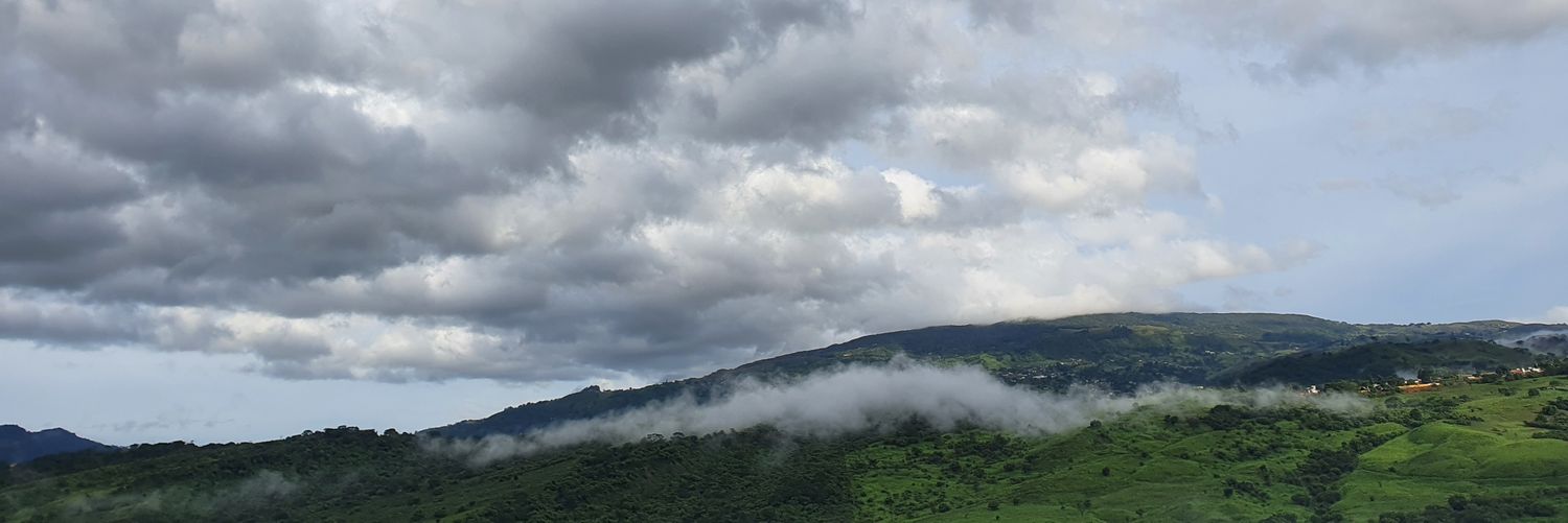 afrorazes's profile banner image