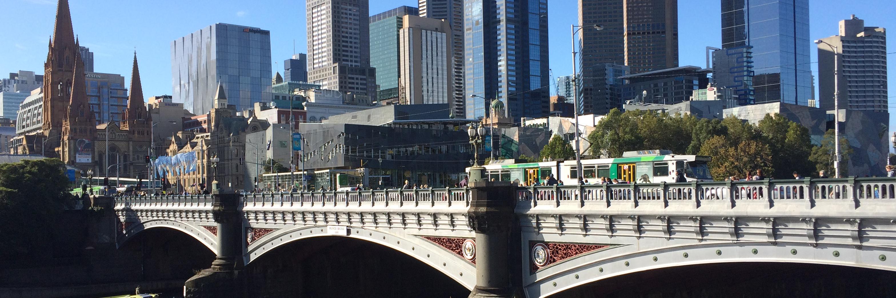 Michelle McIntosh banner