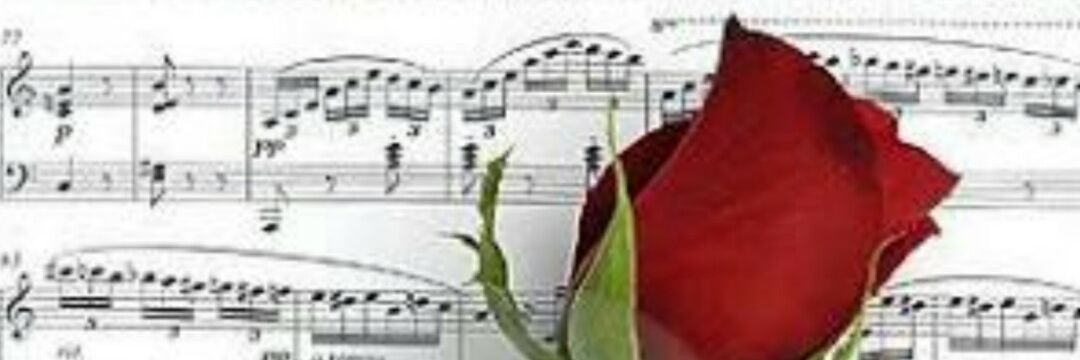 VANESSA_LARISA's profile banner image