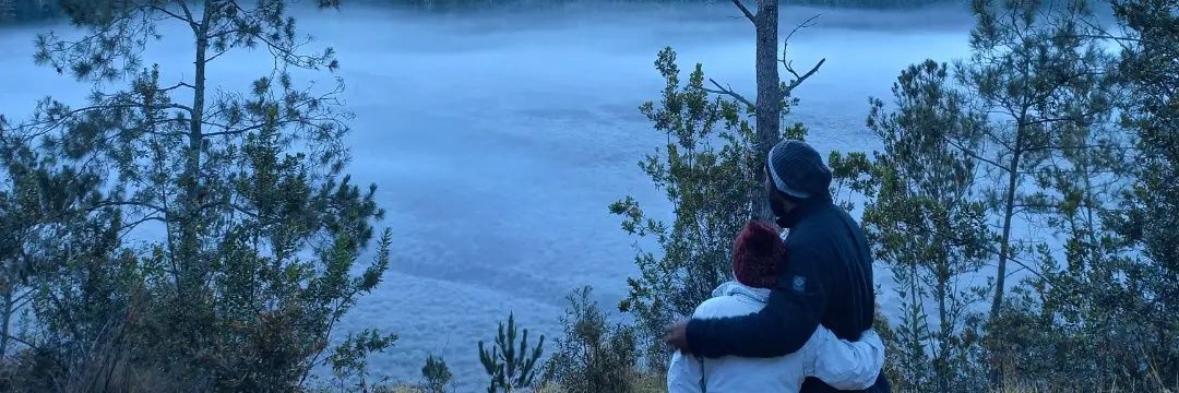 nelfis's profile banner image