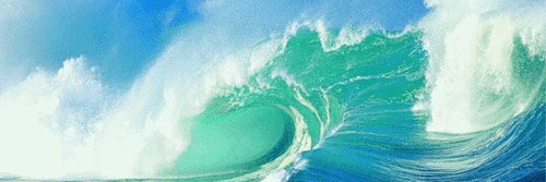 CarolinaDeb88's profile banner image