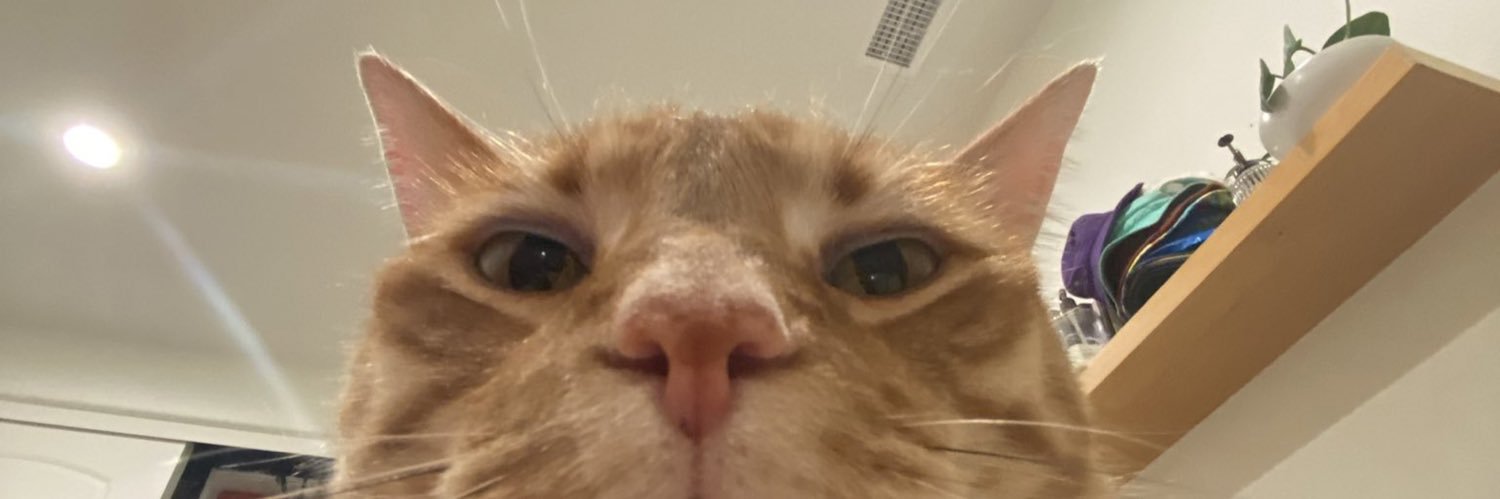 LayingInGrass's profile banner image