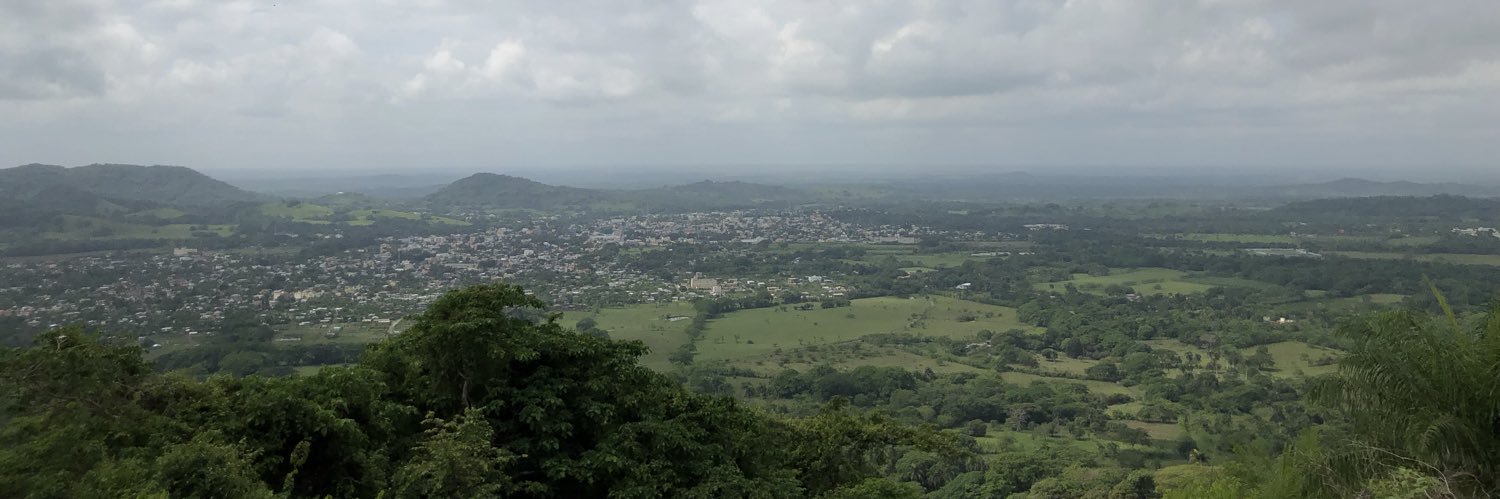 Marla Simmons banner