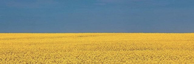 LMK_MN's profile banner image