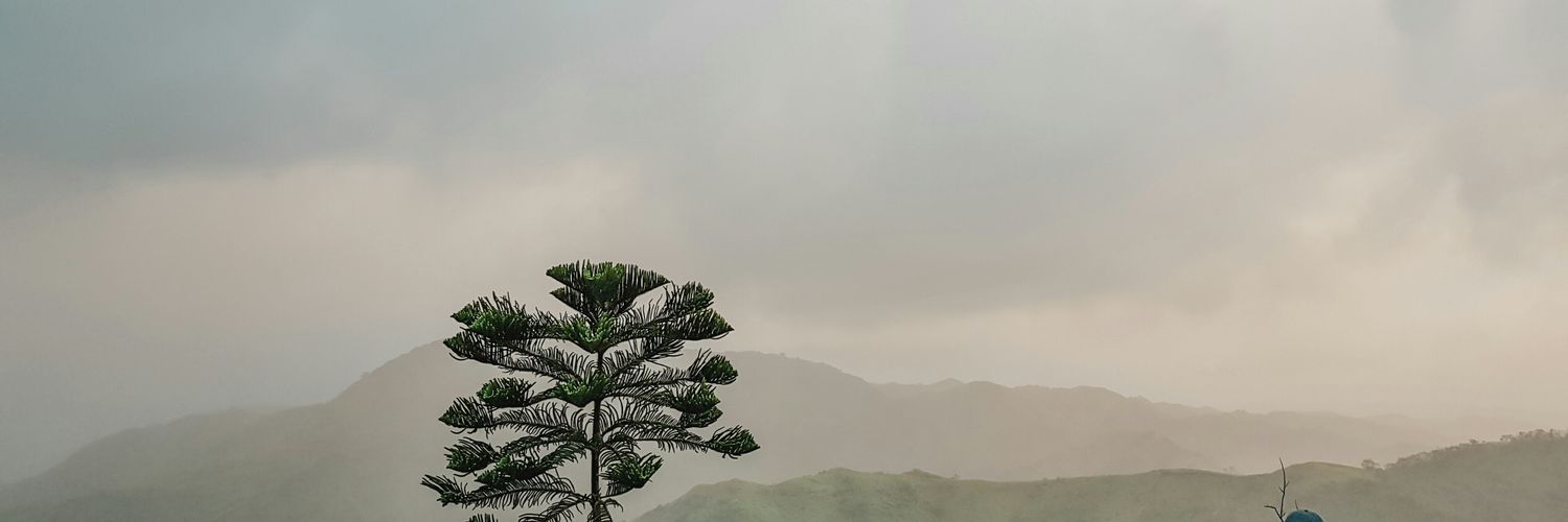 tengadrble's profile banner image