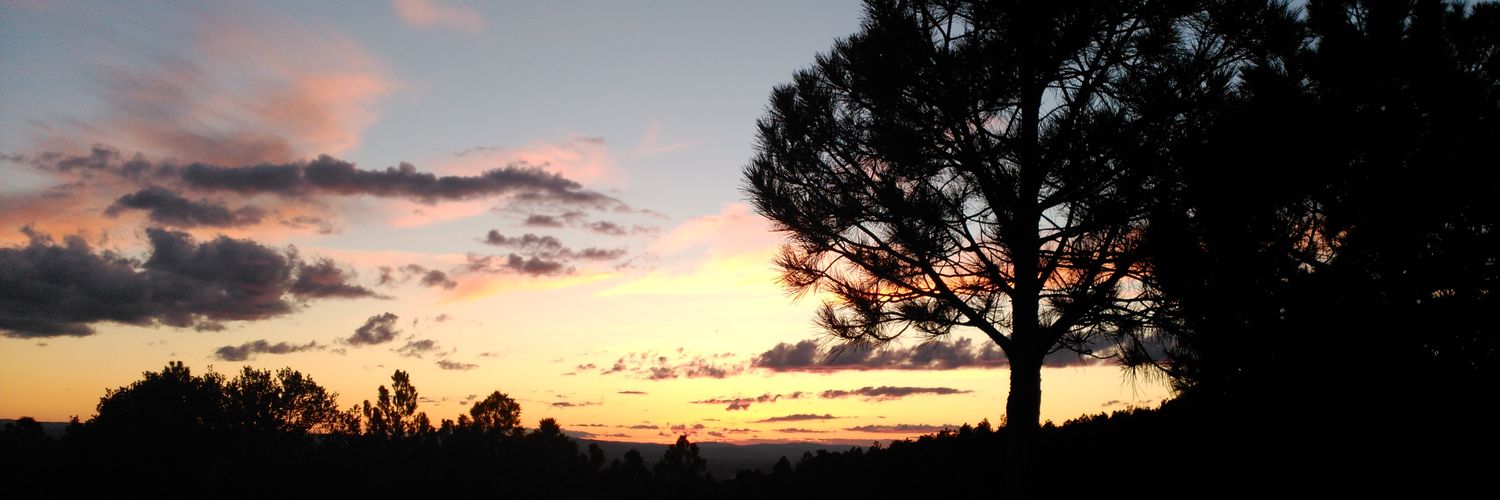 saandra_91's profile banner image