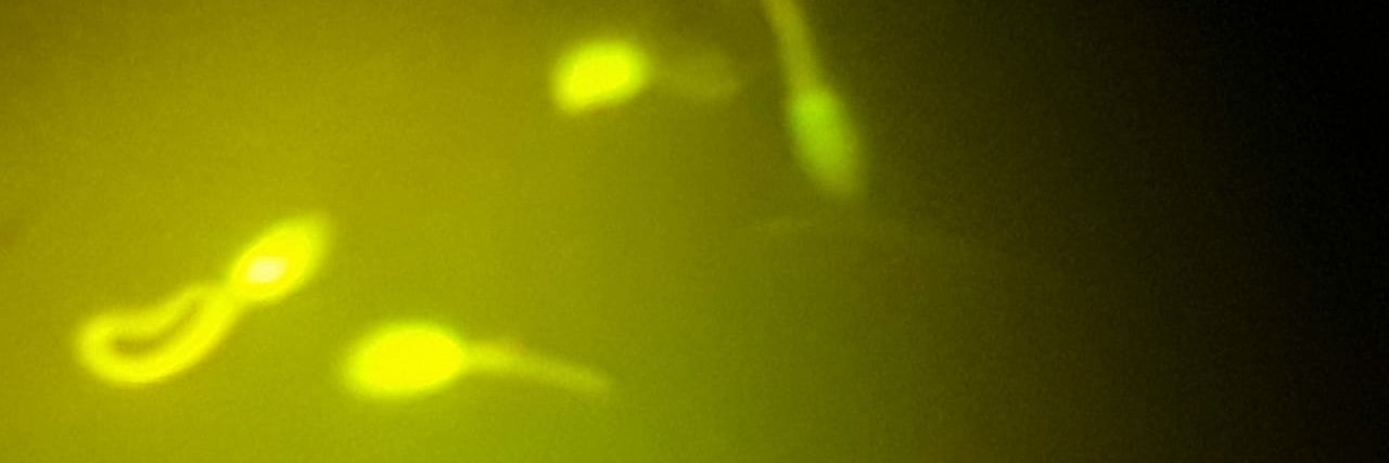 odiazfranco's profile banner image