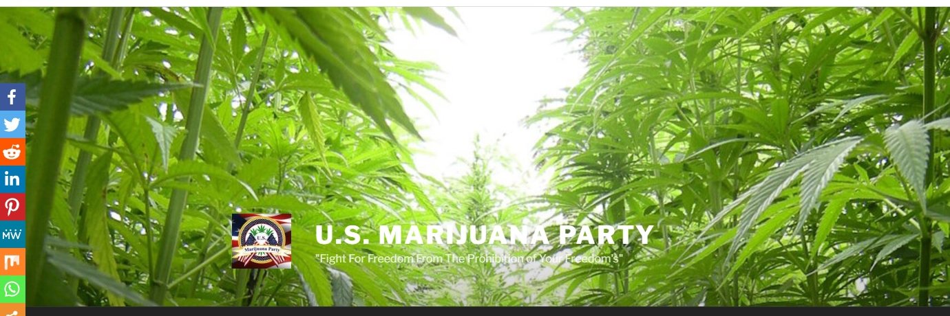 USMjParty banner
