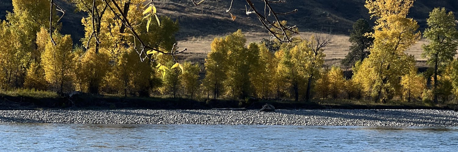 MTIndependent banner