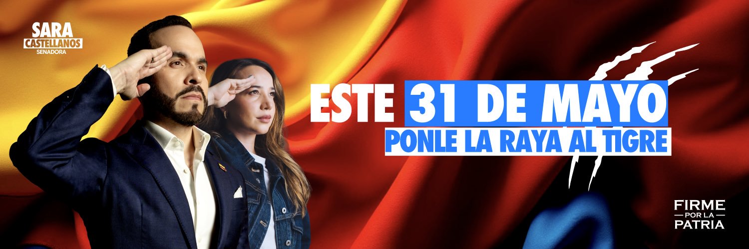 Sara Castellanos banner