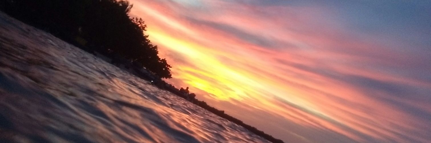 jennymore55's profile banner image