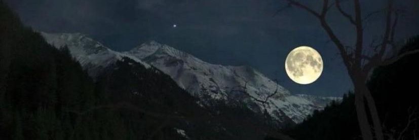 missvrctpr's profile banner image