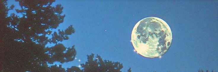 angcamb's profile banner image