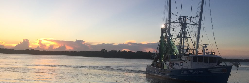 ally_wilson's profile banner image