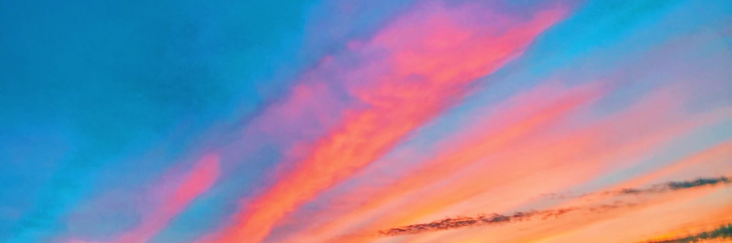 erin_steed2's profile banner image