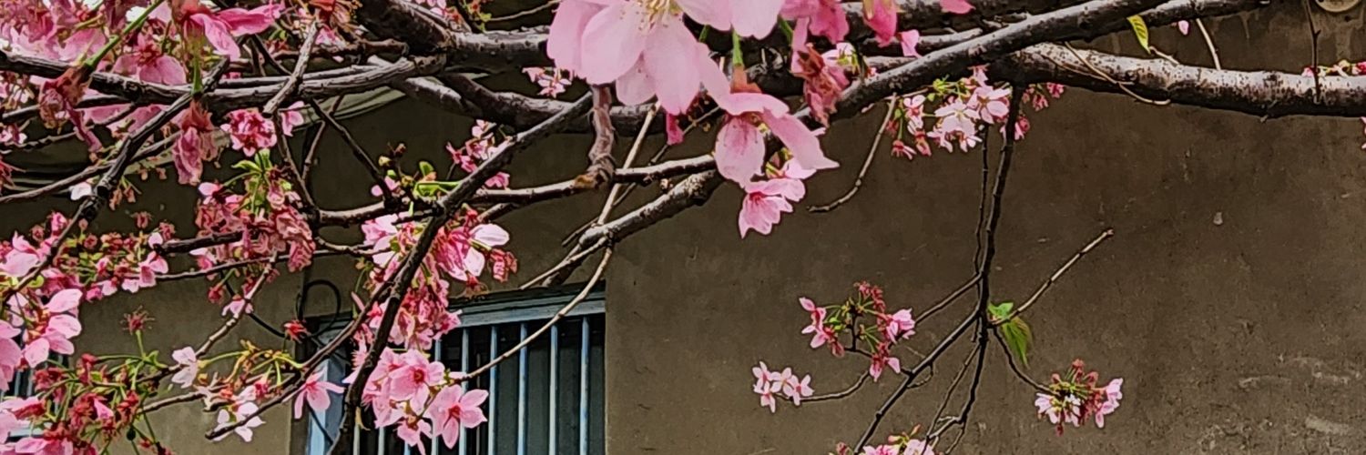 JyongHsieh's profile banner image