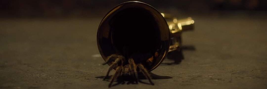 ignaciotrumpet's profile banner image