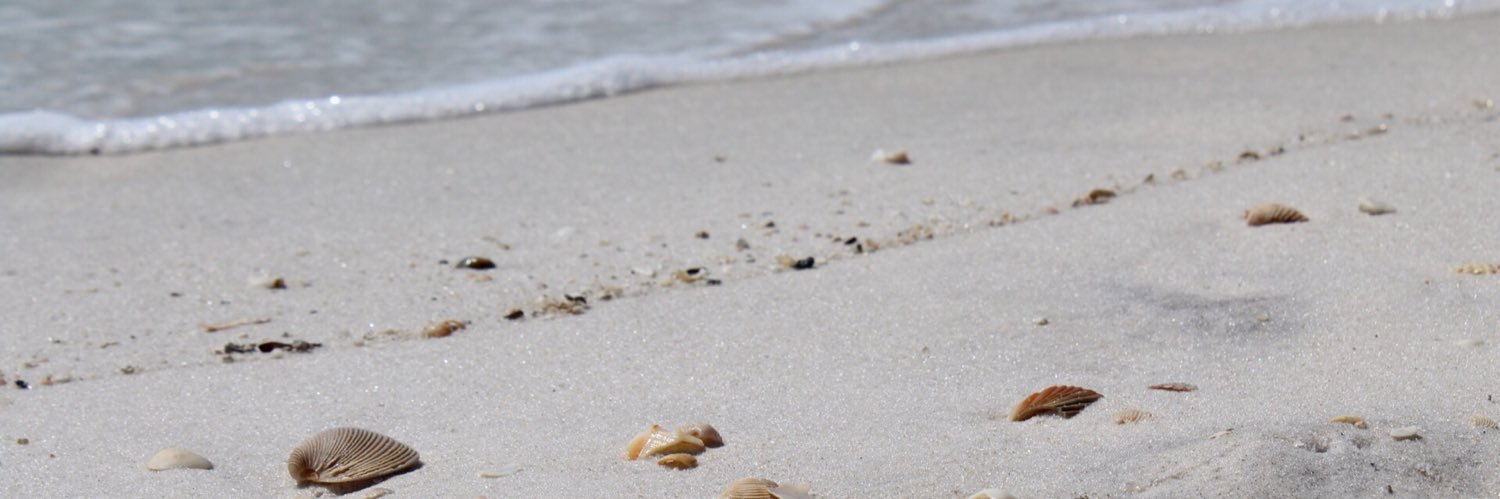 Kaitlins22's profile banner image