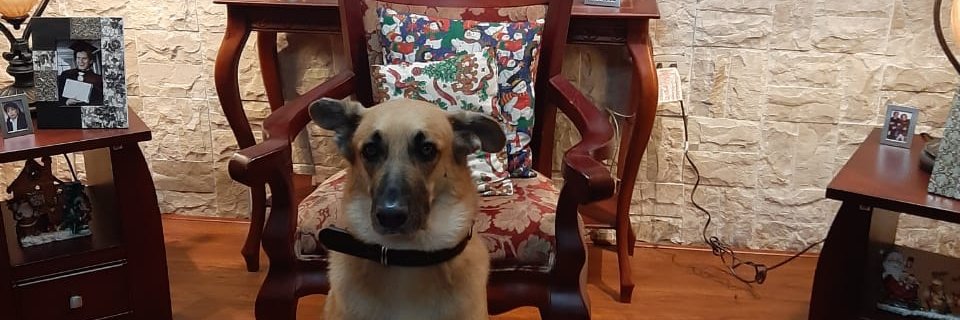 PSinche's profile banner image