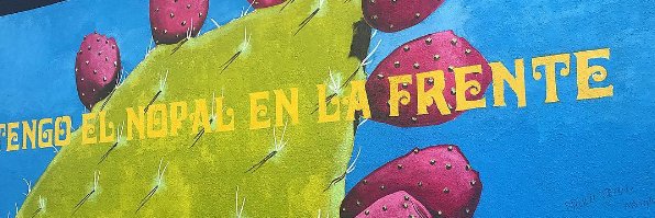 analisacantu's profile banner image