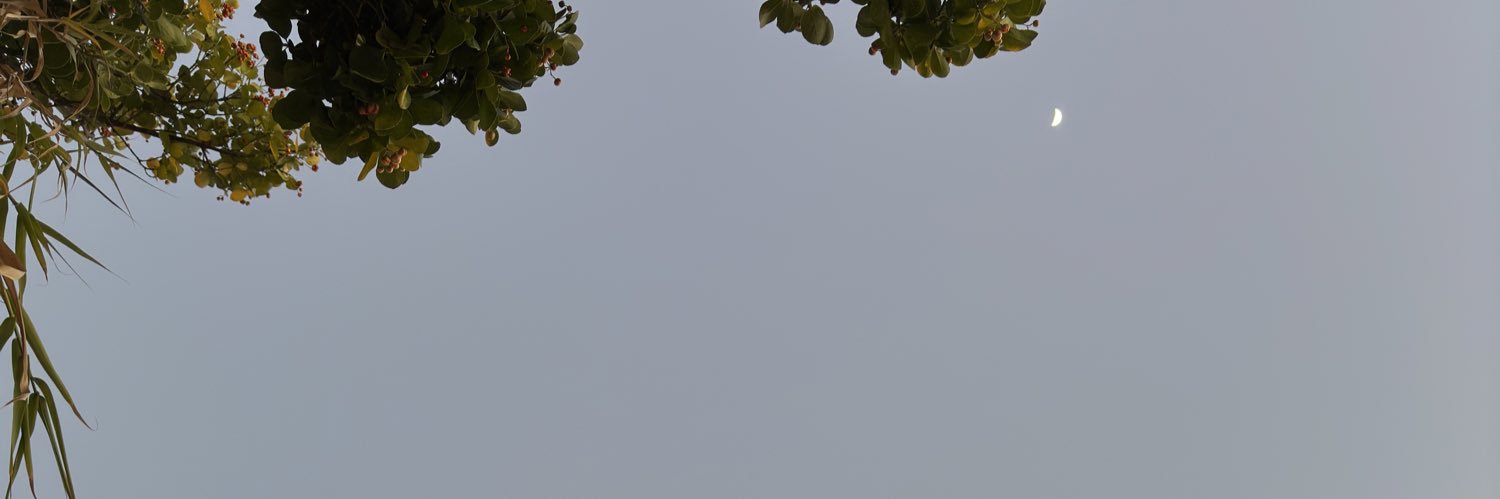 himani_naritai's profile banner image