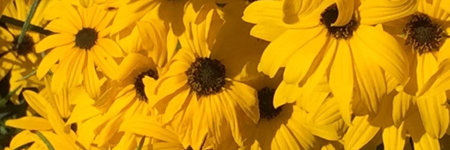 fixihomer1's profile banner image