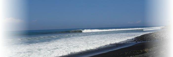 route51surf1's profile banner image