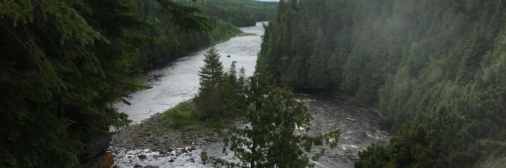 bullheads's profile banner image