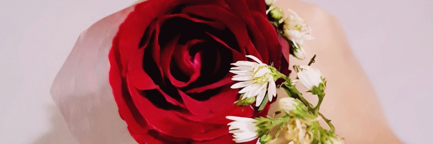 Jaquinha5's profile banner image