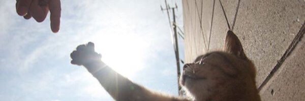 aychuds's profile banner image