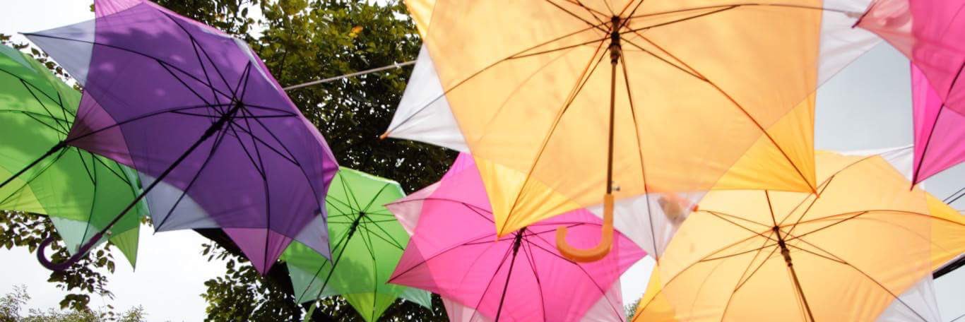 parqueandoMX's profile banner image