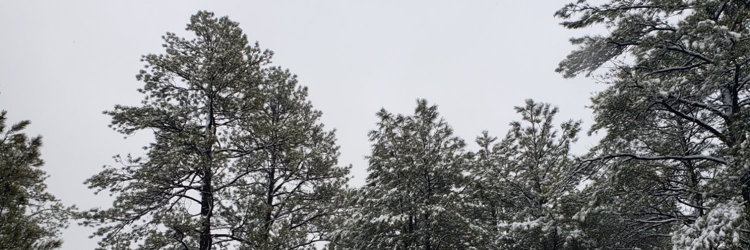 RaynaBroussard's profile banner image