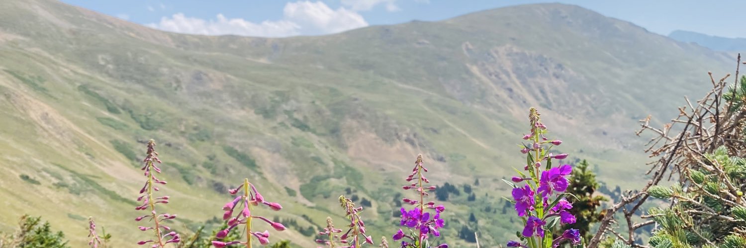 norahsilv's profile banner image