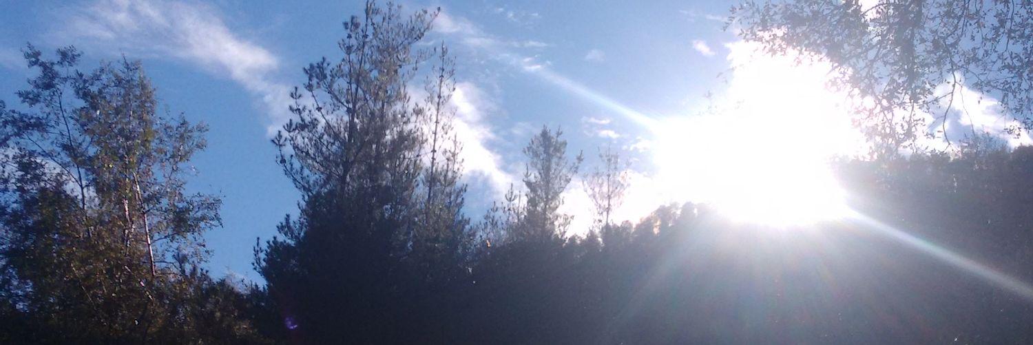 cdf1976's profile banner image