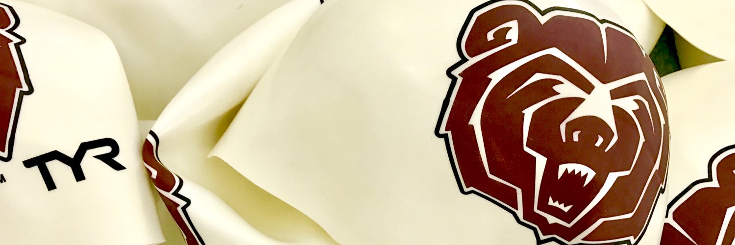 Chelsea Dirks-Ham banner