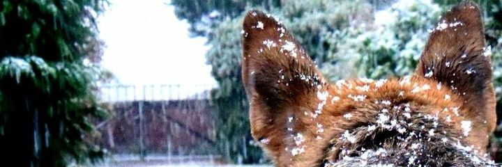 Manuu_Martin's profile banner image