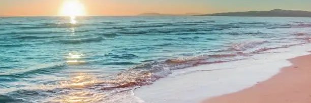 SWScribe's profile banner image