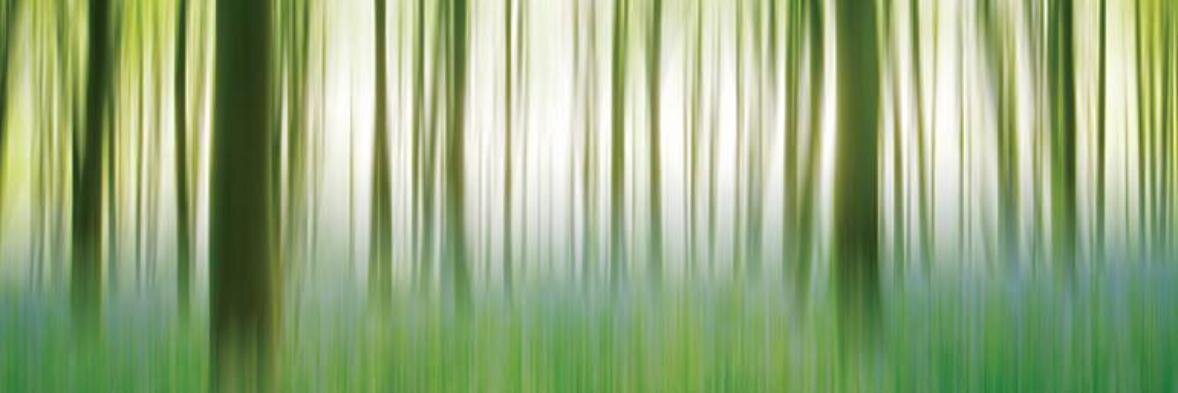 Photography Week banner