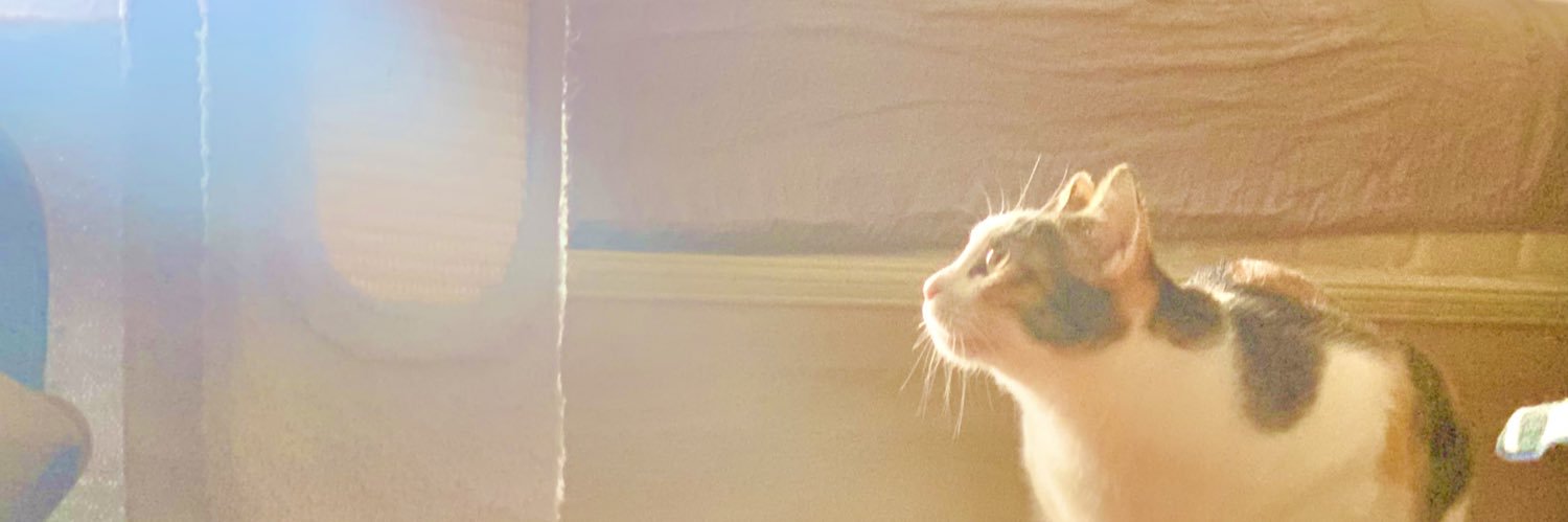 li_scully's profile banner image