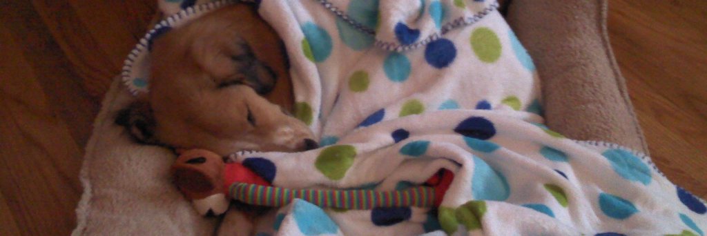 judyryan316's profile banner image