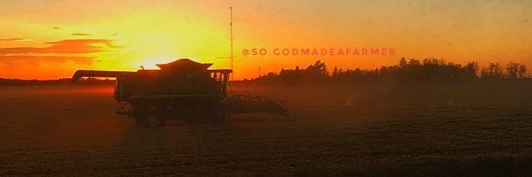 TheFarmher's profile banner image