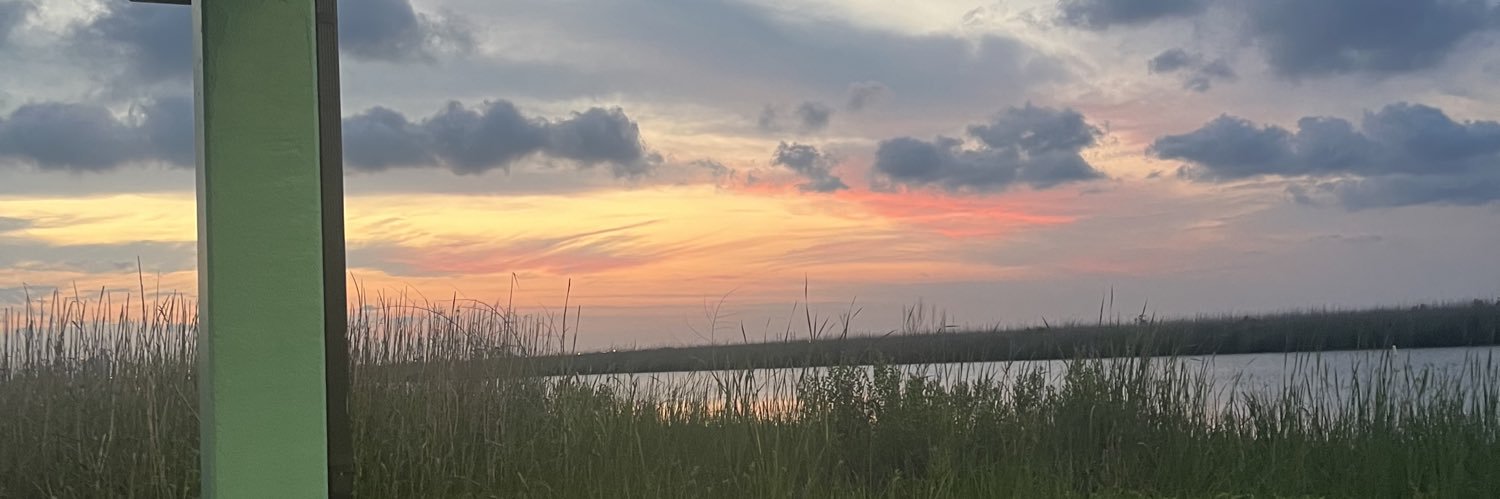 breegreen_'s profile banner image